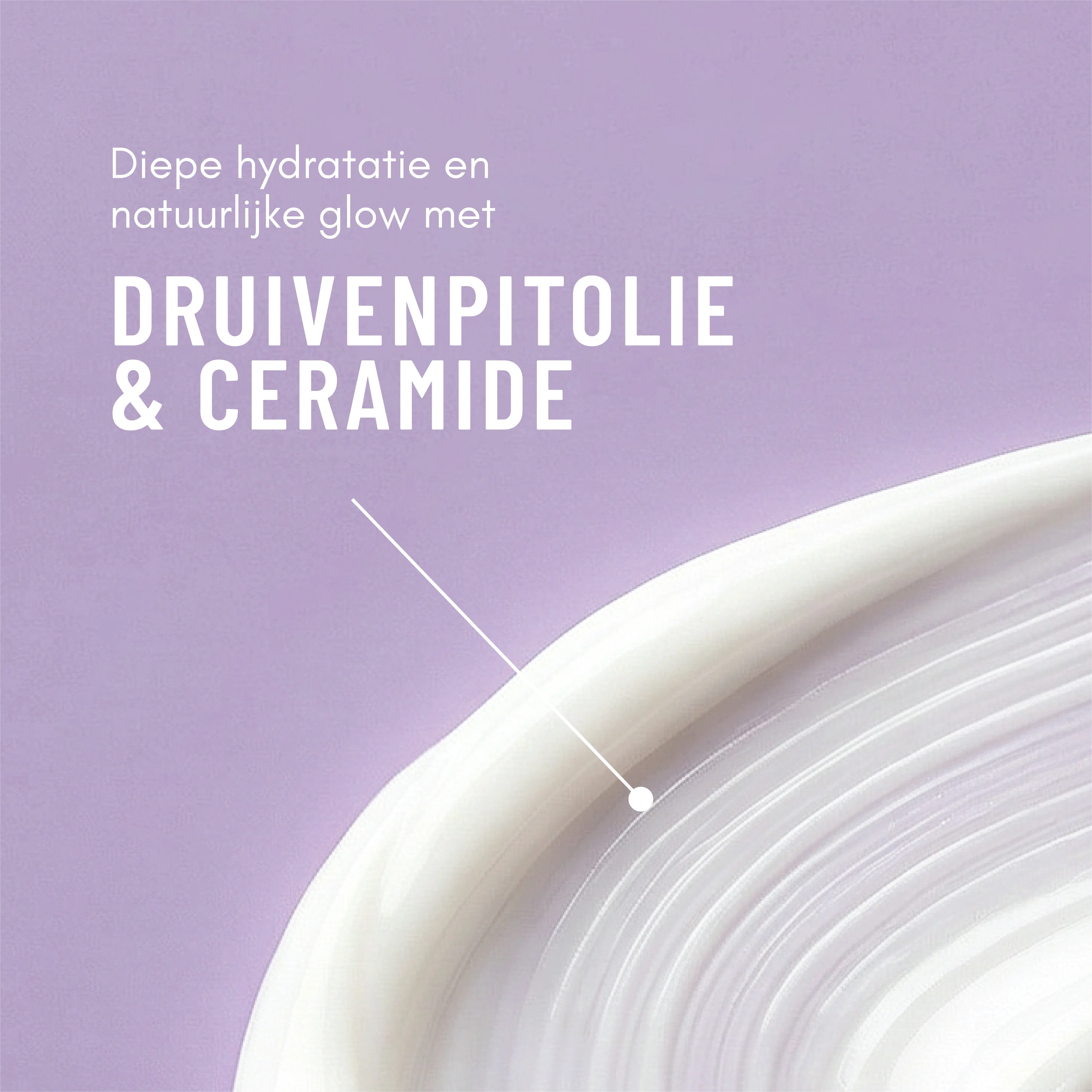 Nourish & Firm Skincare Essentials - Image 4